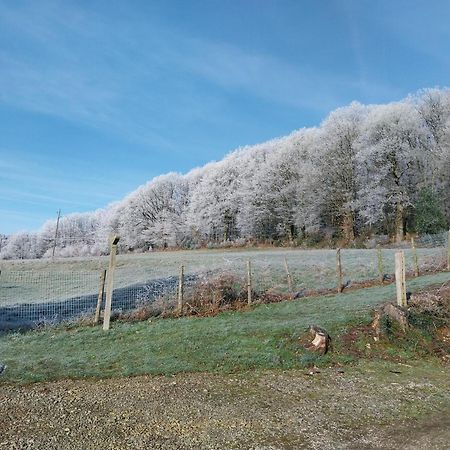 Gite En Lisiere De Foret Andaine Perrou Kültér fotó