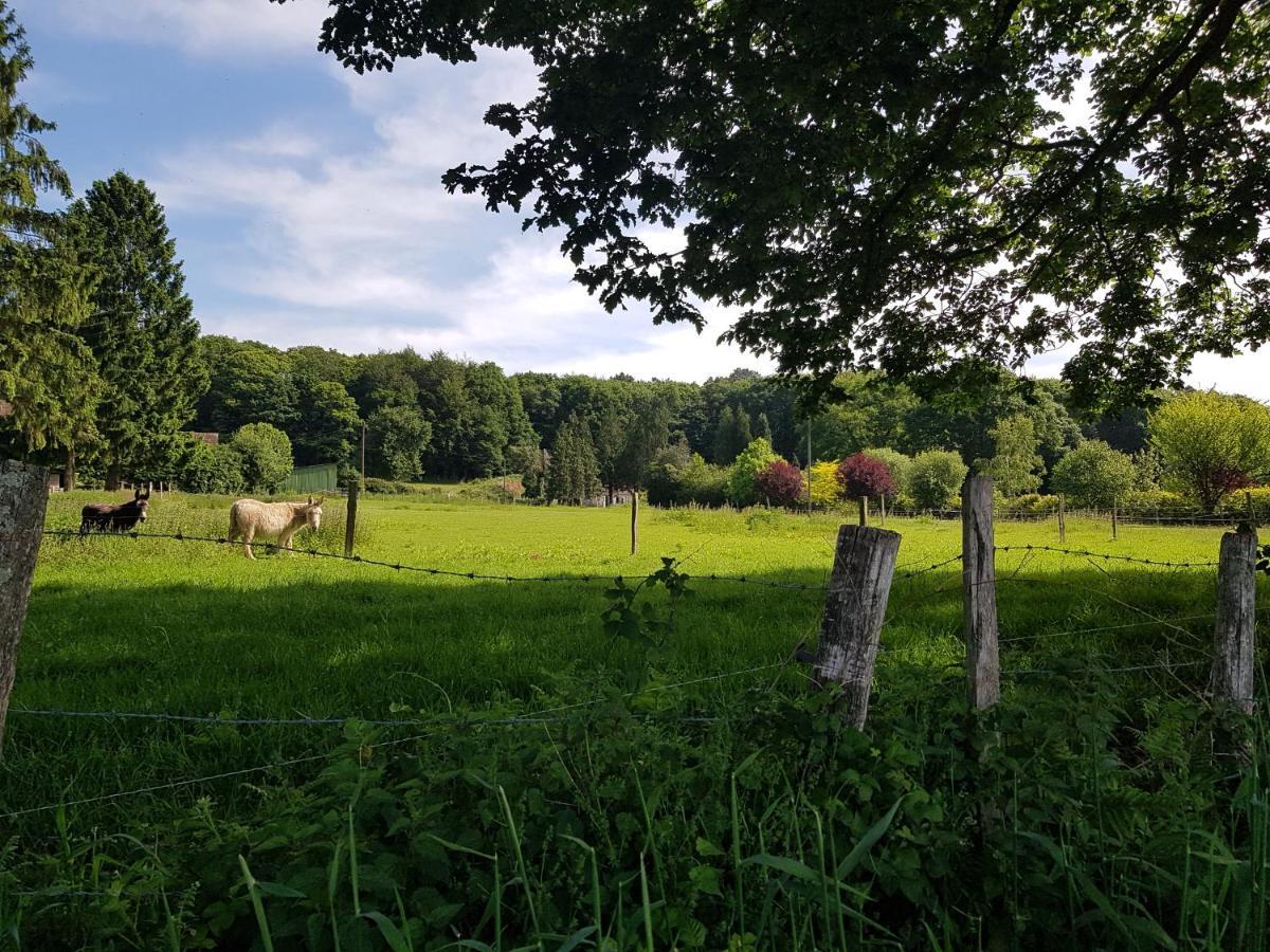 Gite En Lisiere De Foret Andaine Perrou Kültér fotó
